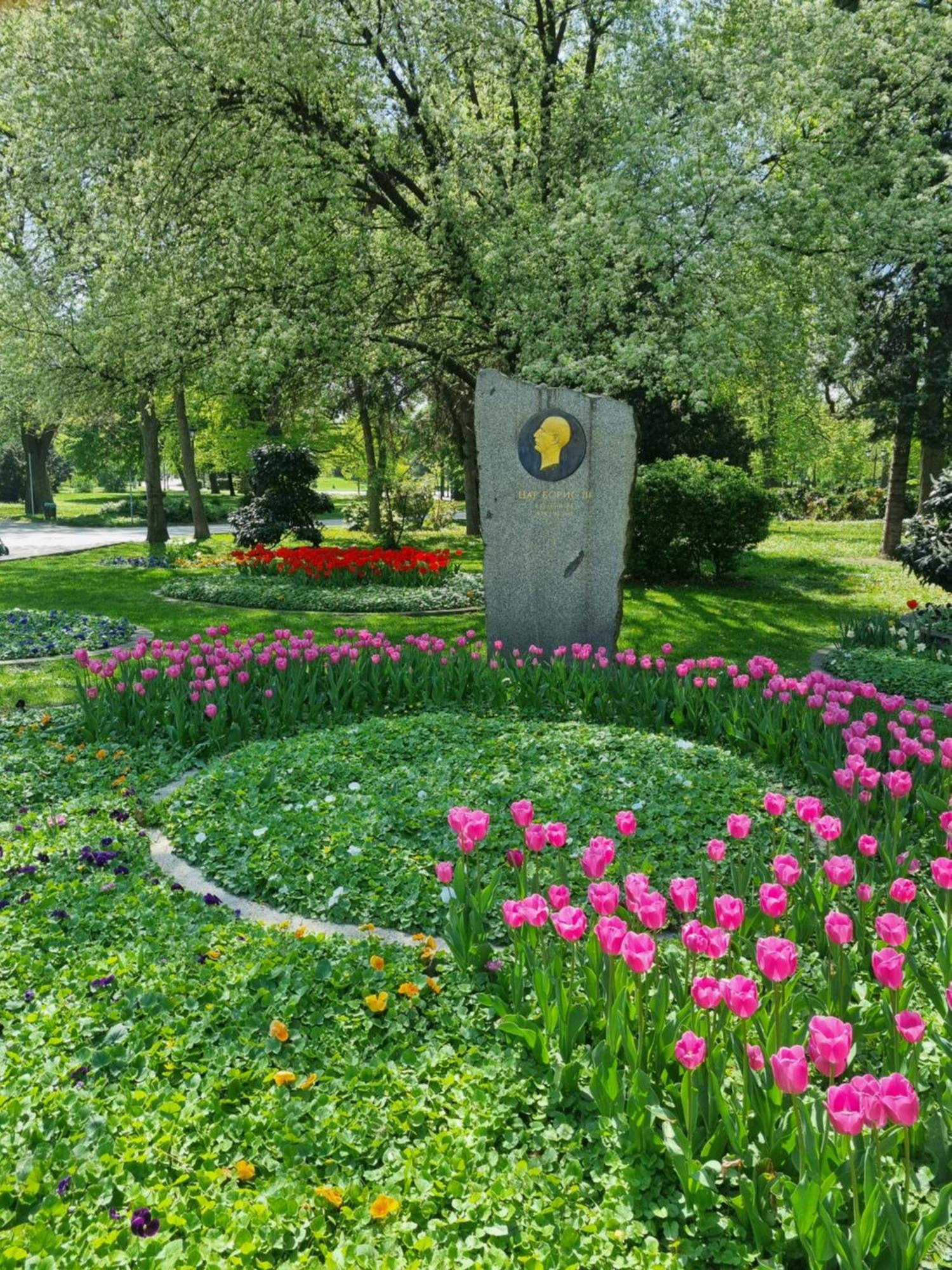 Appartamento Tulip Dreamland