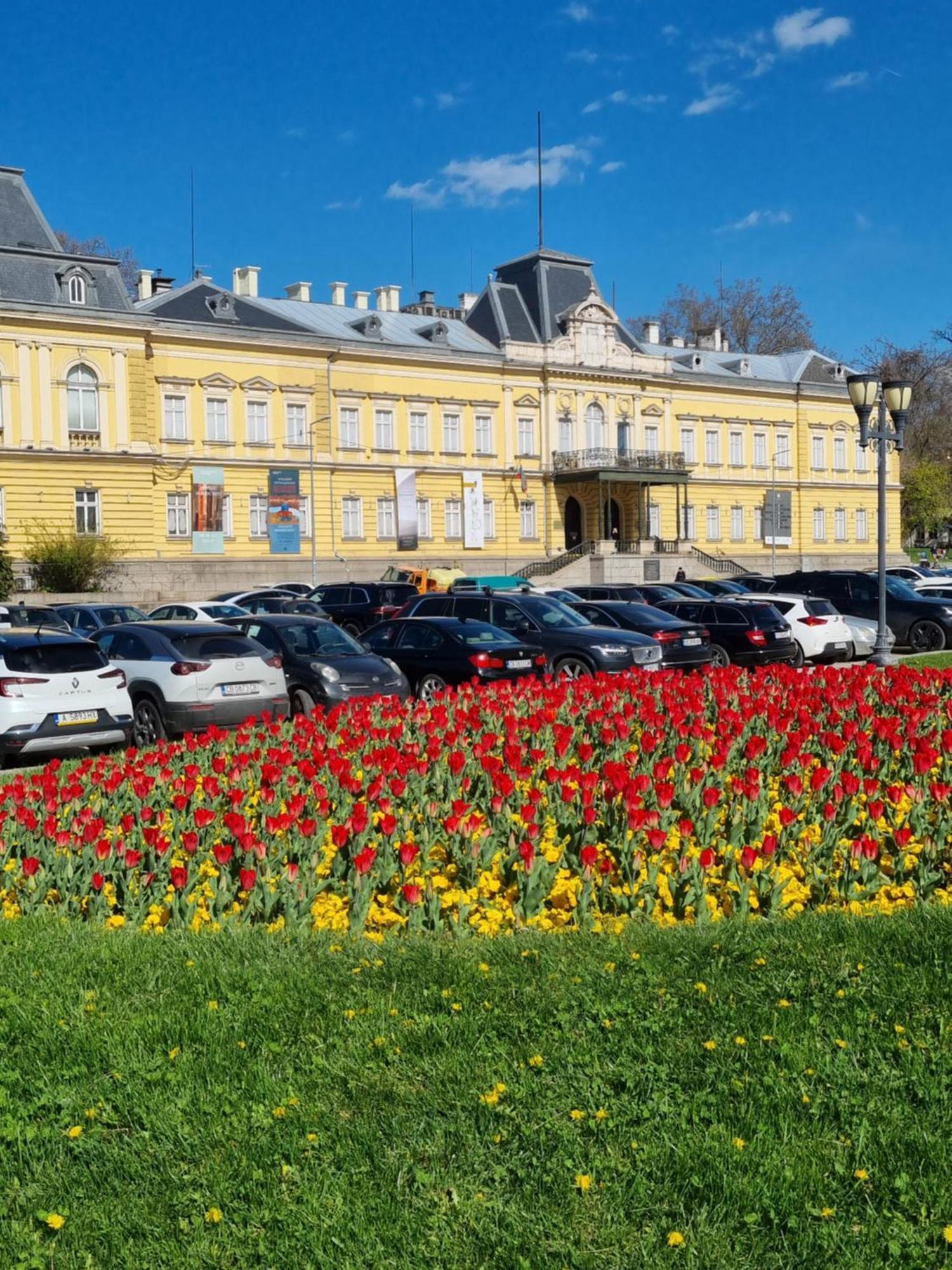 Appartement Tulip Dreamland *