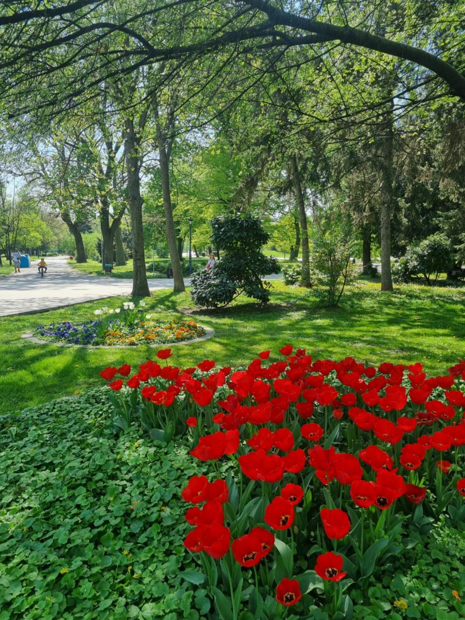 Appartement Tulip Dreamland