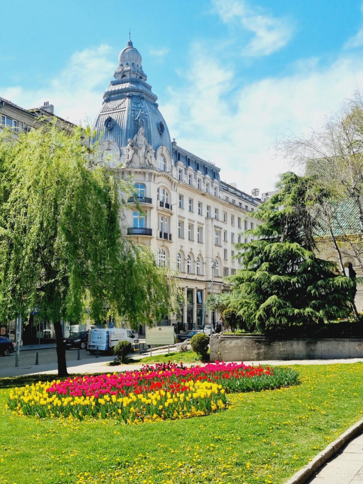 Appartement Tulip Dreamland Sofia