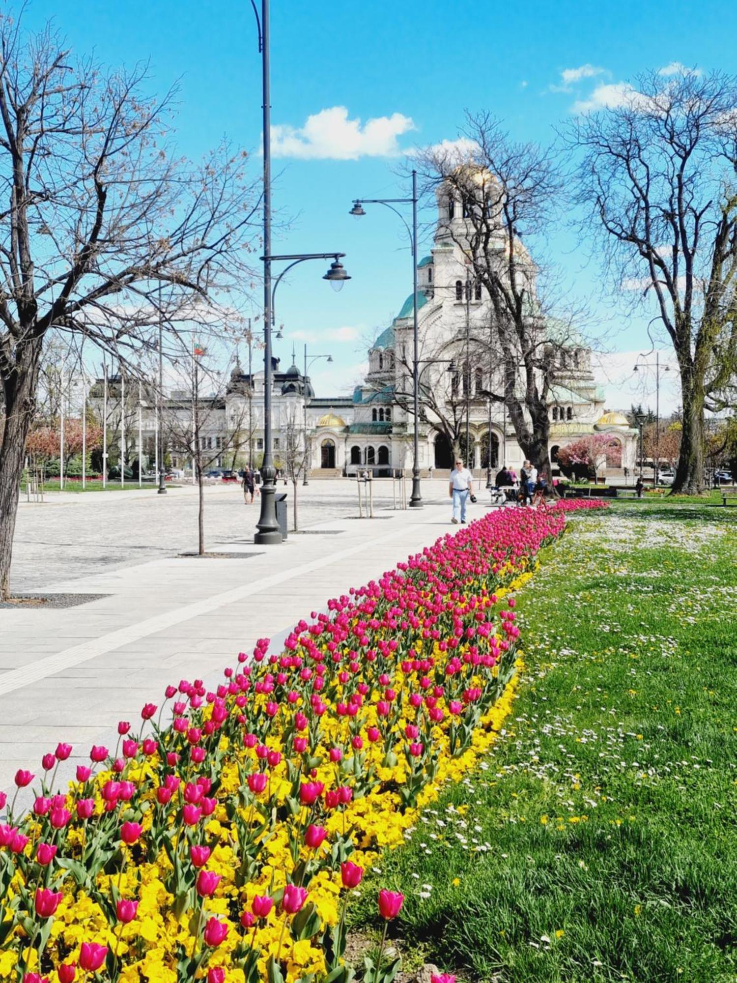 Appartamento Tulip Dreamland