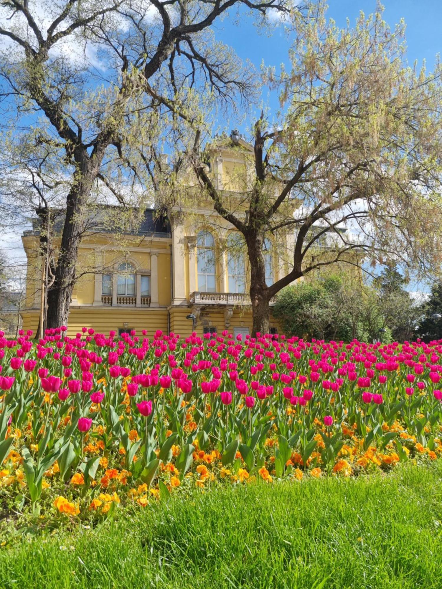 Appartamento Tulip Dreamland